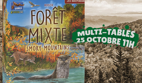 Foret Mixte Multi-tables Smoky Mountains Les Sables d'Olonne